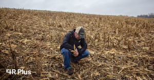 Tips for soil nitrogen management in Iowa this fall