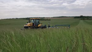 Tractor planting soybeans into green cover crops