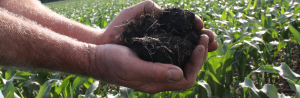 Iowa Soil and Water Conservation Benefits for Farmers