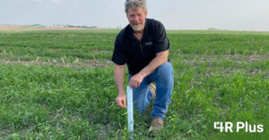 Bryan Sievers standing in cover crops field