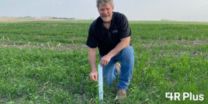 Bryan Sievers standing in cover crops field