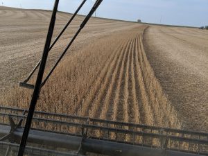 Iowa 2020 harvest