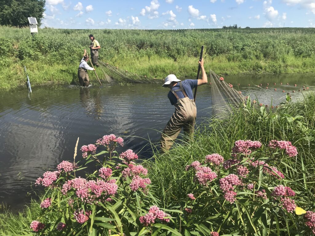 Farmers fish surveying in oxbows