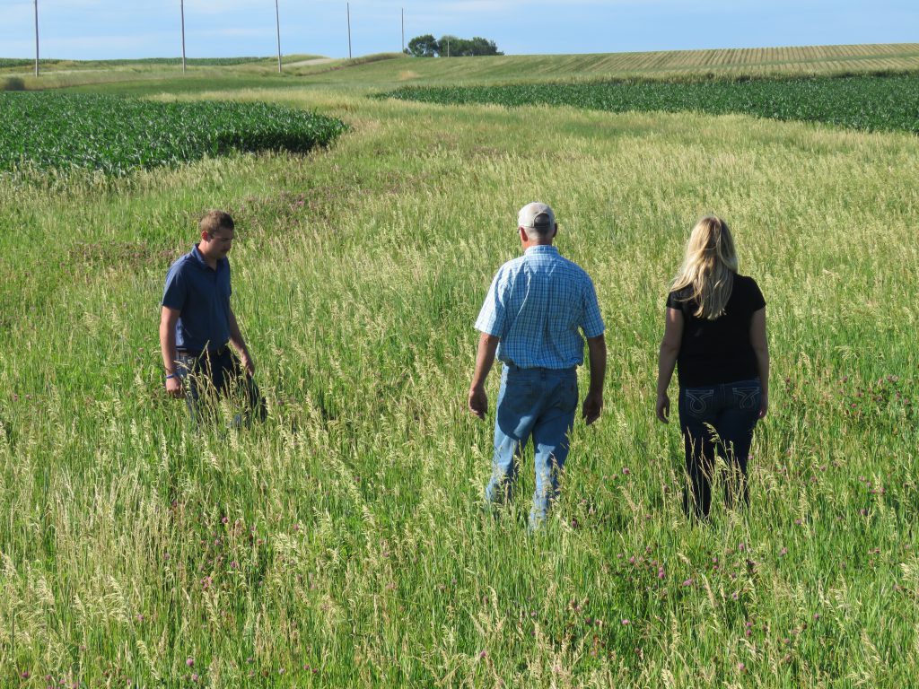 Iowa Farmers in Field