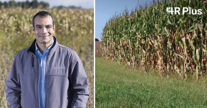 Michael Castellano, Professor of Agronomy at Iowa State University