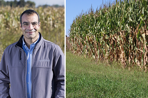 Michael Castellano, Professor of Agronomy at Iowa State University