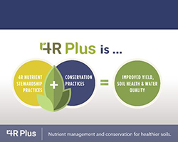 4R Plus is 4R Nutrient Stewardship Practices and Conservation Practices Combined to Improve Yield, Soil Health, and Water Quality