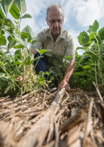Wayne Fredericks and Cover Crops