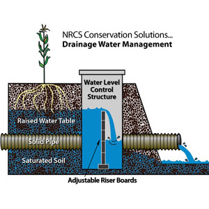 Drainage water management process