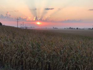 Iowa Farm Sunrise