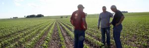 Iowa Farmers on Field