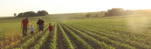 Iowa farmers in field