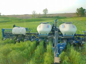 Planting Into Green Cover Crops