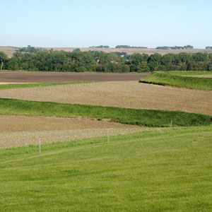 Terrace on a field